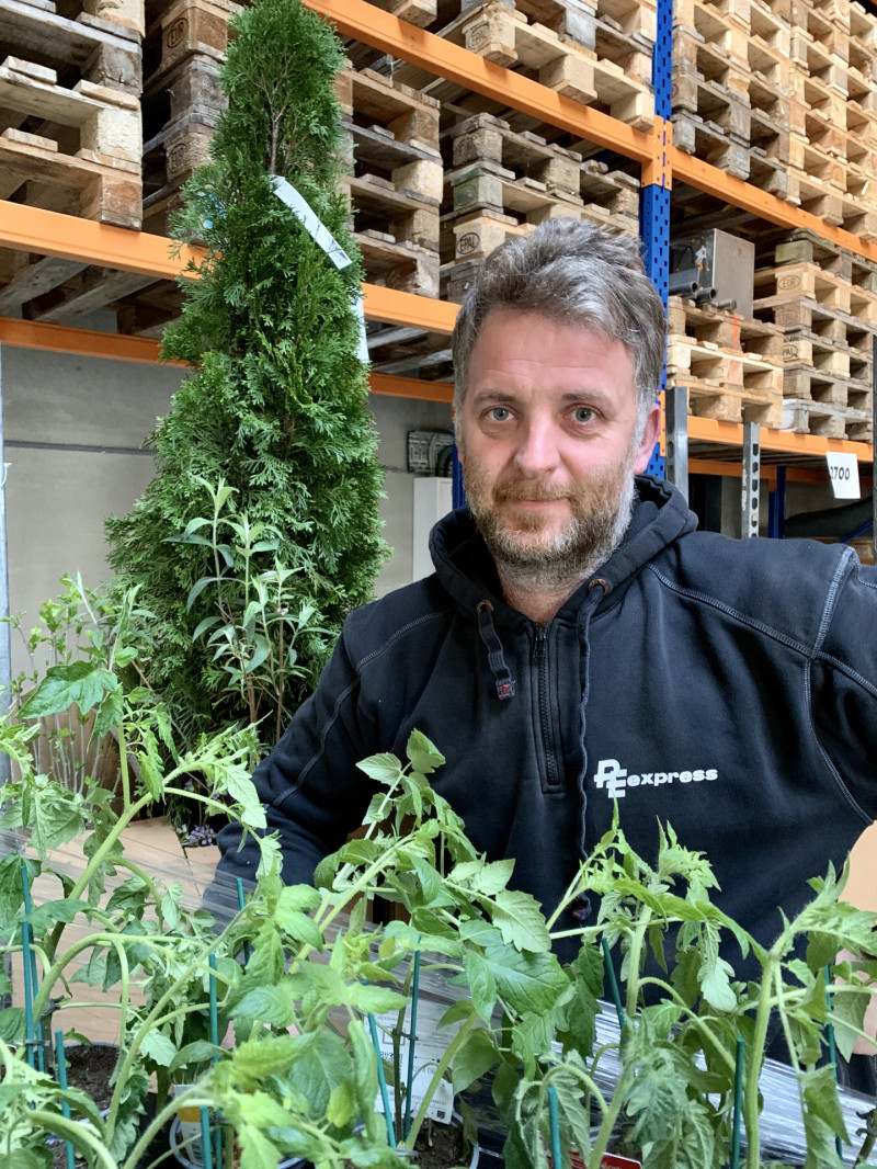 Pieterengels Pelckmans